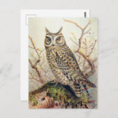 Vintage Owl Illustration Postkarte (Vorne/Hinten)