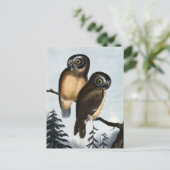 Vintage Owl Illustration Postkarte (Stehend Vorderseite)