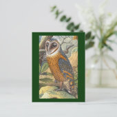 Vintage Owl-Malerei Postkarte (Stehend Vorderseite)