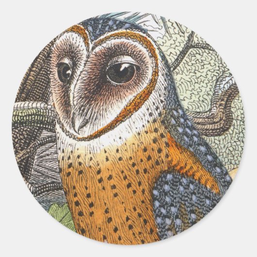 Vintage Owl-Malerei Runder Aufkleber (Vorderseite)
