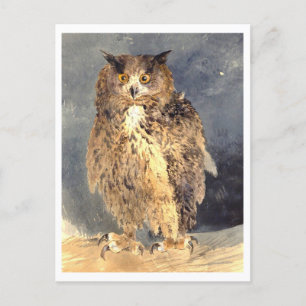 Vintage Owl Painting Postcard Postkarte