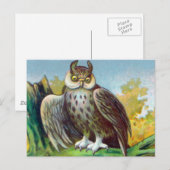 Vintage Owl Postkarte (Vorne/Hinten)