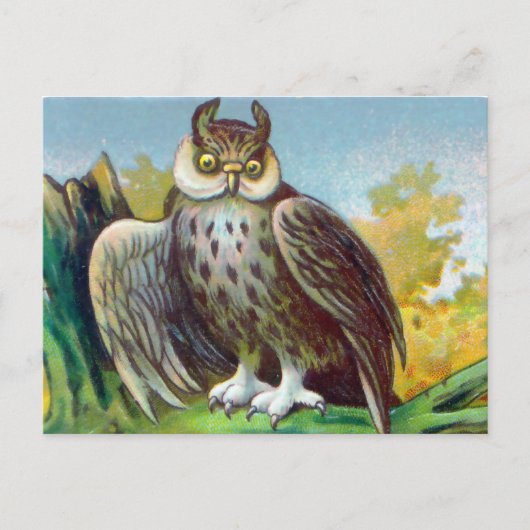 Vintage Owl Postkarte (Vorderseite)