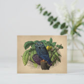 Vintage Owls Farbenprägung Postkarte (Stehend Vorderseite)