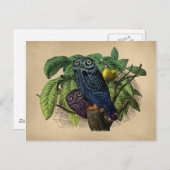 Vintage Owls Farbenprägung Postkarte (Vorne/Hinten)
