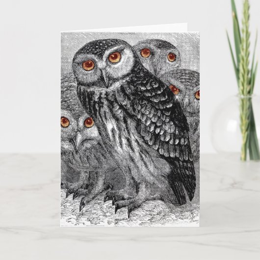 Vintage Owls Grußkarte Karte (Vorderseite)
