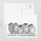Vintage Owls Postkarte (Vorne/Hinten)