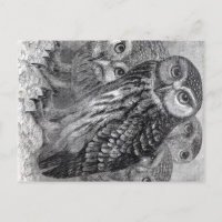 Vintage Owls