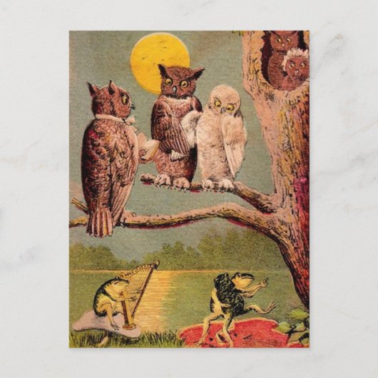 Vintage Owls Postkarte (Vorderseite)