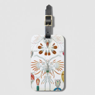 Vintage-Ozean-Tiere, Copepoda von Ernst Haeckel Gepäckanhänger