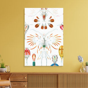 Vintage Ozeantiere, Copepoda von Ernst Haeckel Leinwanddruck