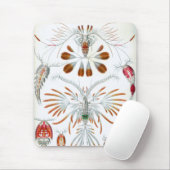 Vintage Ozeantiere, Copepoda von Ernst Haeckel Mousepad (Mit Mouse)