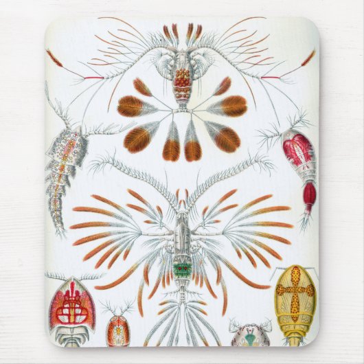 Vintage Ozeantiere, Copepoda von Ernst Haeckel Mousepad (Vorne)