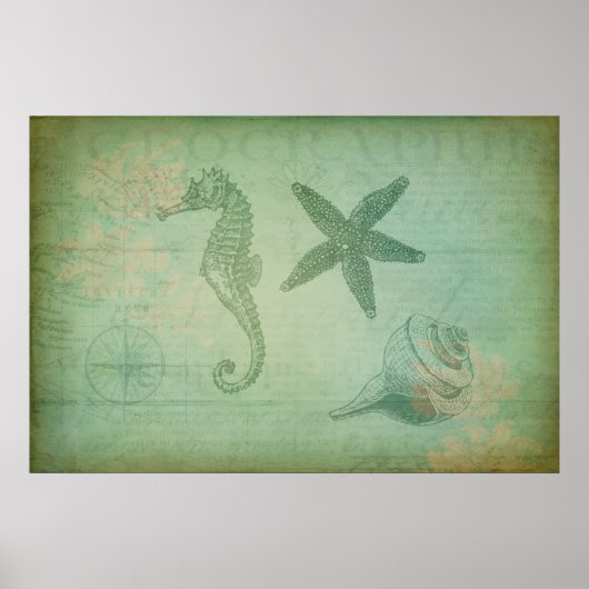 Vintage Ozeantiere und Muscheln Poster (Vorne)