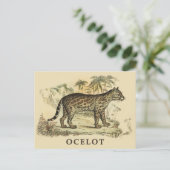 Vintage-Ozelot Postkarte (Stehend Vorderseite)