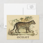 Vintage-Ozelot Postkarte (Vorne/Hinten)