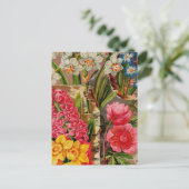 Vintage Packkarten für Saatgut, Porto, Geschenke Postkarte (Stehend Vorderseite)