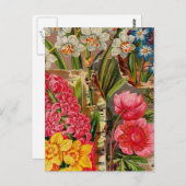 Vintage Packkarten für Saatgut, Porto, Geschenke Postkarte (Vorne/Hinten)