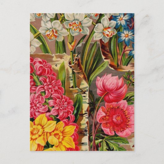 Vintage Packkarten für Saatgut, Porto, Geschenke Postkarte (Vorderseite)