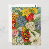 Vintage Packkarten für Saatgut, Porto, Geschenke Postkarte (Vorne/Hinten)