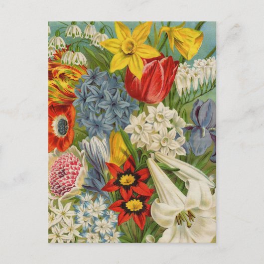 Vintage Packkarten für Saatgut, Porto, Geschenke Postkarte (Vorderseite)