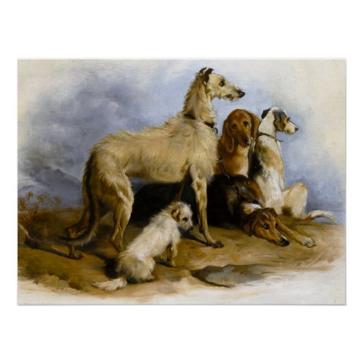 Vintage painting of five cute dogs poster (Vorderseite)