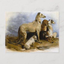 Vintage painting of five cute dogs postkarte