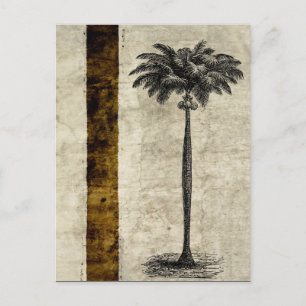 Vintage Palm-Baum-Vorlage für tropische Inseln Postkarte