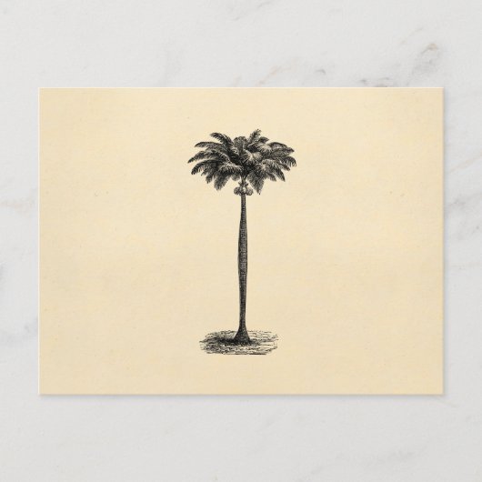 Vintage Palm-Baum-Vorlage Postkarte (Vorderseite)