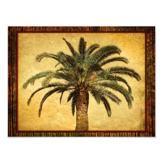 Vintage Palm Tree - angepasste tropische Vorlage Fotodruck (Vorne)