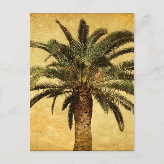 Vintage Palm Tree - angepasste tropische Vorlage Postkarte (Vorderseite)