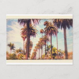 Vintage Palm Tree Postkarte