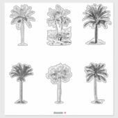 Vintage Palmbaumskizzen Aufkleber (Blatt)