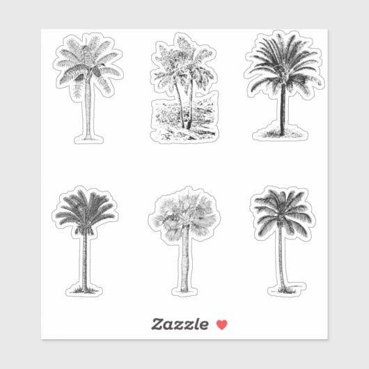 Vintage Palmbaumskizzen Aufkleber (Blatt)