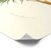 Vintage Palmenbotanische Printwerbung Poster (Ecke)