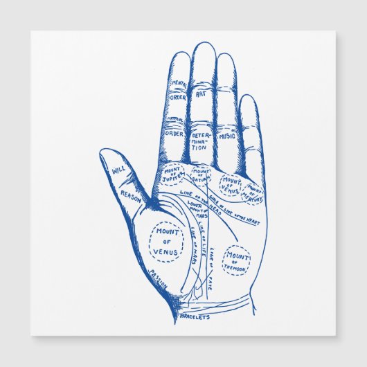 Vintage Palmpalmenübersicht Magneteinladung (Vorderseite)