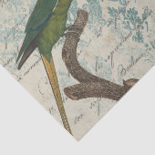 Vintage Papagei Seidenpapier (Ausschnitt)