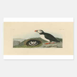 Vintage-Papageientaucher-Illustration Rechteckiger Aufkleber