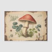 Vintage Papiertücher für Pilze Seidenpapier (Vorderseite)