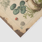 Vintage Papiertücher für Pilze Seidenpapier (Ausschnitt)