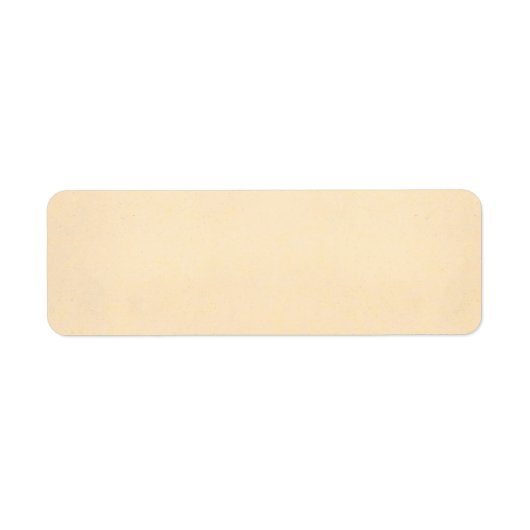 Vintage Papiervorlage 1817 aus Pergament (Vorne)