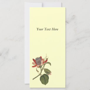 Vintage Passion-Blume