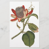 Vintage Passion-Blume Briefpapier (Vorderseite)