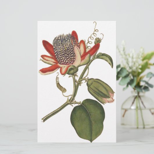 Vintage Passion-Blume Briefpapier (Stehend Vorderseite)