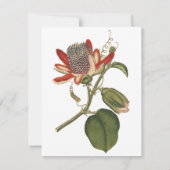 Vintage Passion-Blume Einladung (Rückseite)