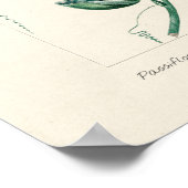 Vintage Passion-Blume Poster (Ecke)