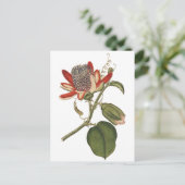 Vintage Passion-Blume Postkarte (Stehend Vorderseite)