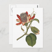 Vintage Passion-Blume Postkarte (Vorne/Hinten)