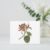 Vintage Passion-Blume Postkarte (Stehend Vorderseite)