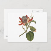 Vintage Passion-Blume Postkarte (Vorne/Hinten)